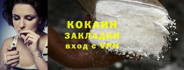 прущие грибы Беломорск
