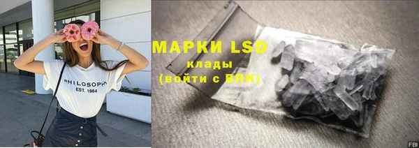 прущие грибы Беломорск