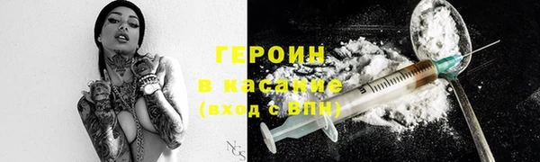 индика Богородицк