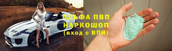 прущие грибы Беломорск