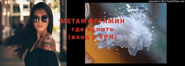 прущие грибы Беломорск