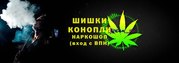 прущие грибы Беломорск