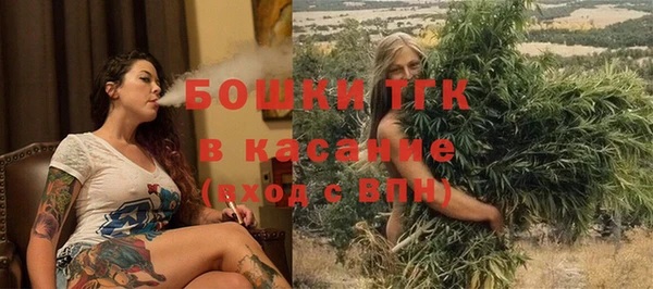 гашик Богородск