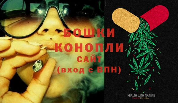 прущие грибы Беломорск