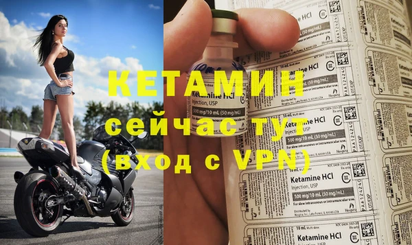 прущие грибы Беломорск