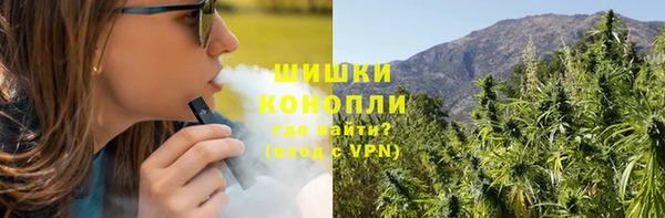 индика Богородицк