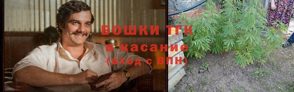 прущие грибы Беломорск