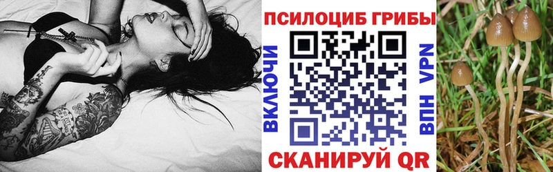 Галлюциногенные грибы Psilocybine cubensis Реж